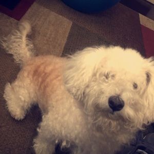 Meet your Posher, Itzel